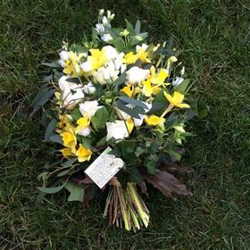 fwthumb01387BBB-0882-454C-9F97-6CBFA21F3BF9.jpg