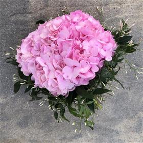 fwthumb77A55A60-DB32-4846-9778-BBB4E37B6A1E.jpg