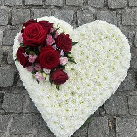 fwthumbIMG_3711.jpg