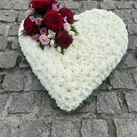 fwthumbIMG_3712.jpg