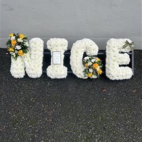 fwthumbIMG_2335.jpg